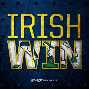 Meet your Posher, Teddy